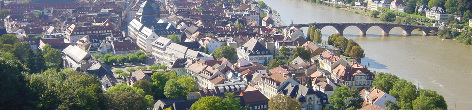 Blick vom Heidelberger Schloss auf die Altstadt | hifly / pixelio.de